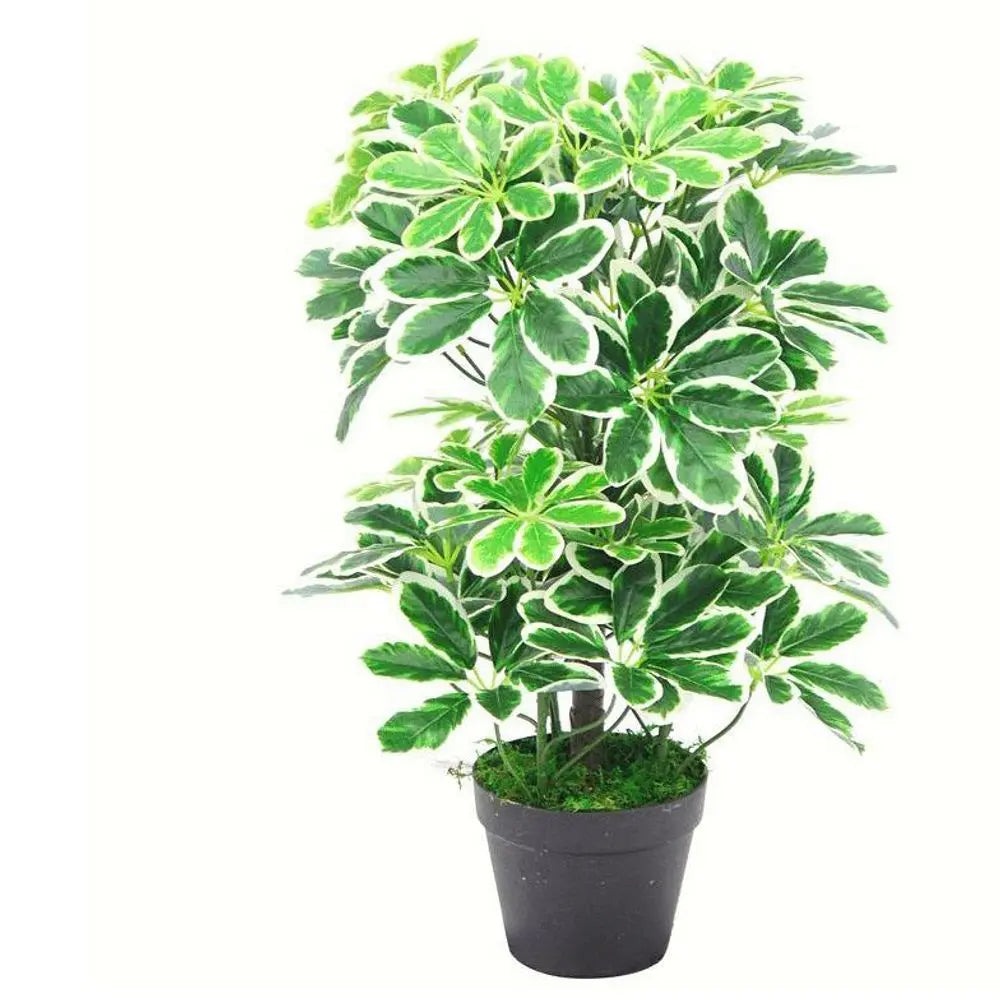 55cm Variegated Artificial Schefflera Arboricola Plant Leaf