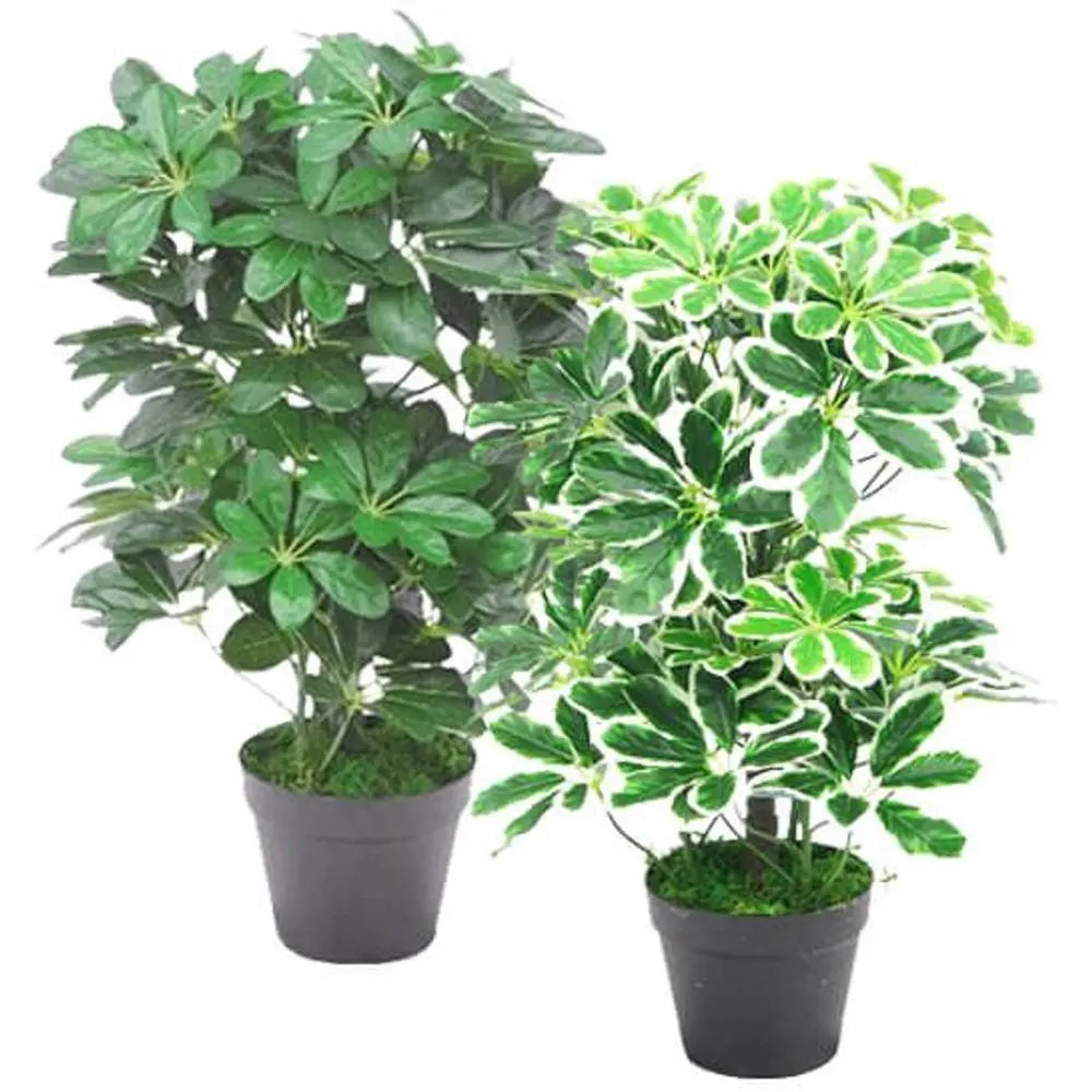 55cm Variegated Artificial Schefflera Arboricola Plant Leaf