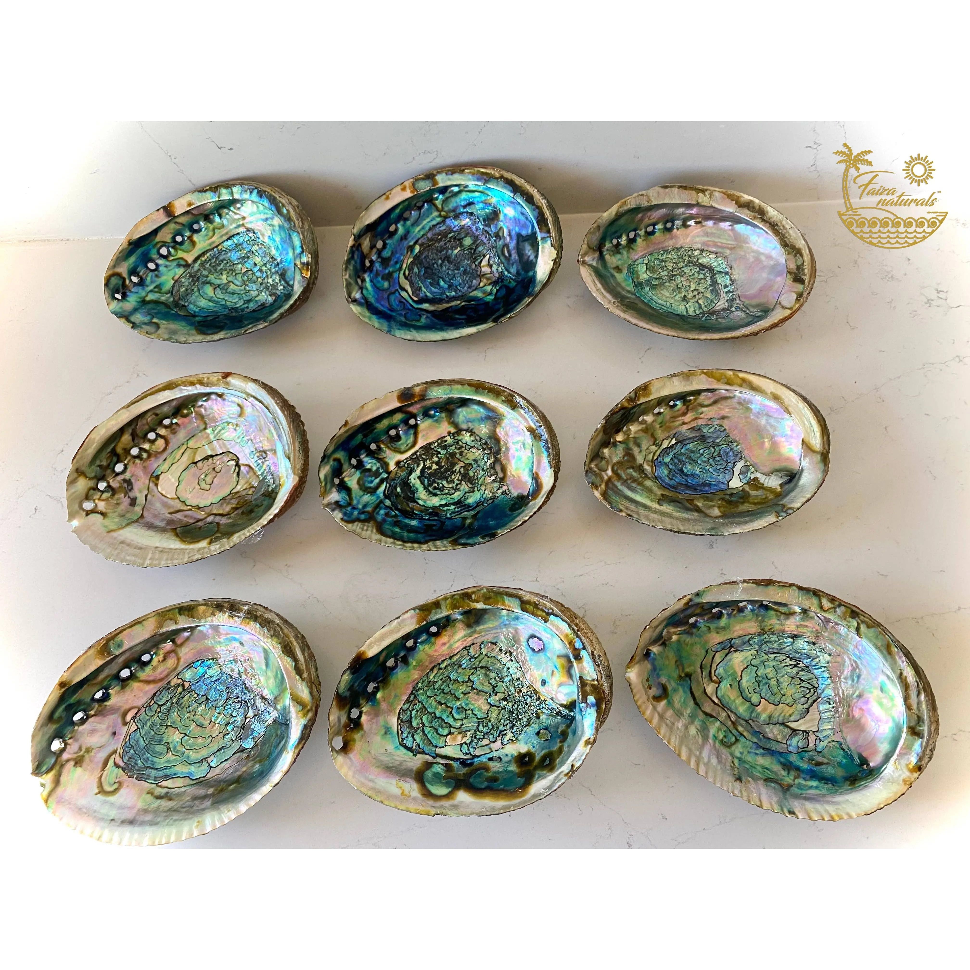 Abalone Shell Smudge Bowls (Large) Faiza Naturals