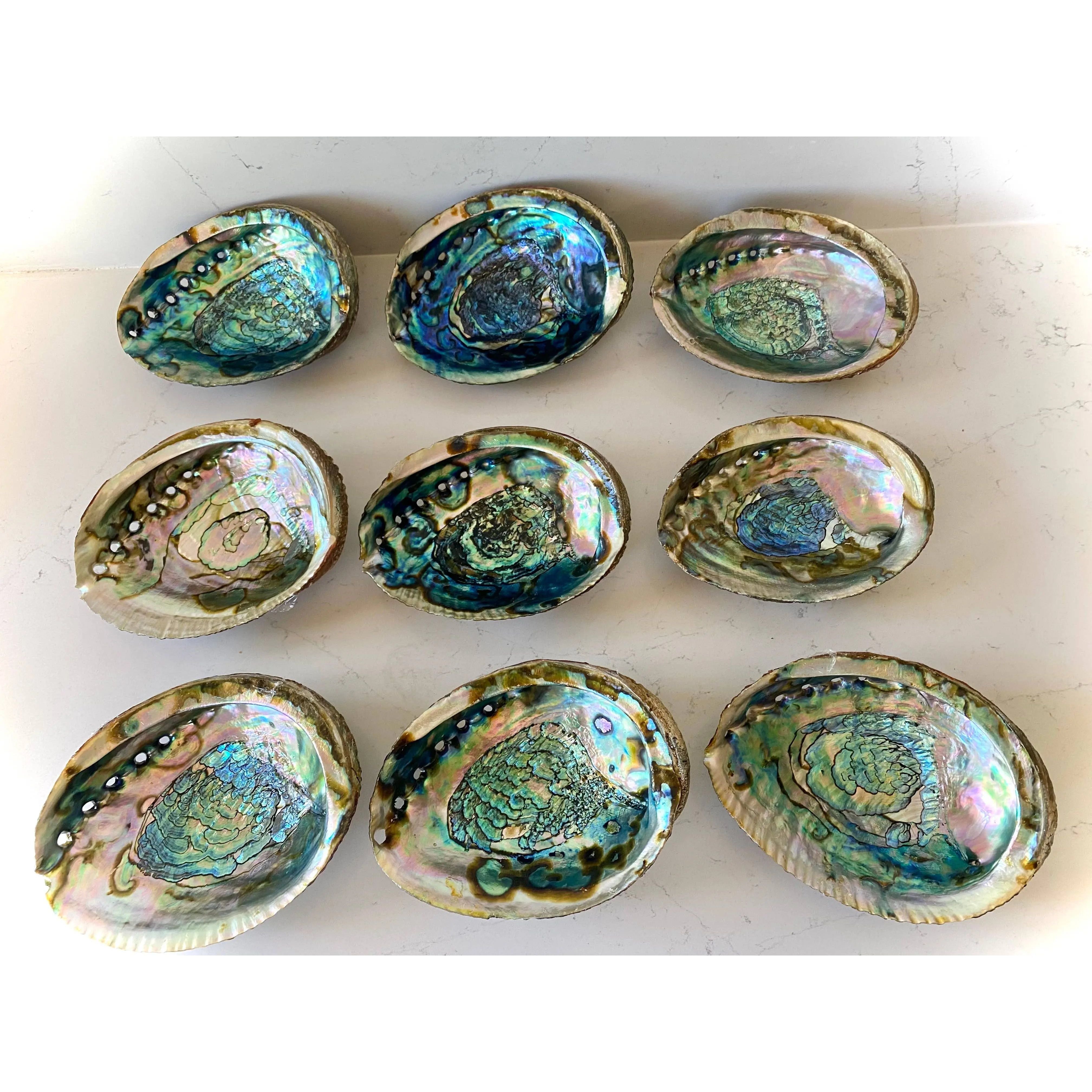 Abalone Shell Smudge Bowls (Medium): Medium Faiza Naturals