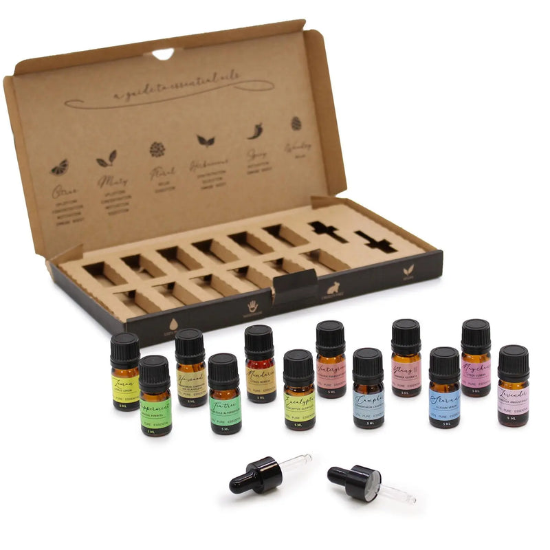 Aromatherapy Essential Oil Set - Starter Pack Spirit Journeys Gifts