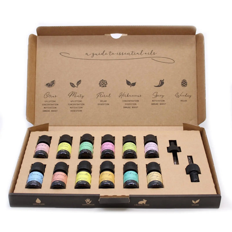 Aromatherapy Essential Oil Set - The Top 12 Spirit Journeys Gifts