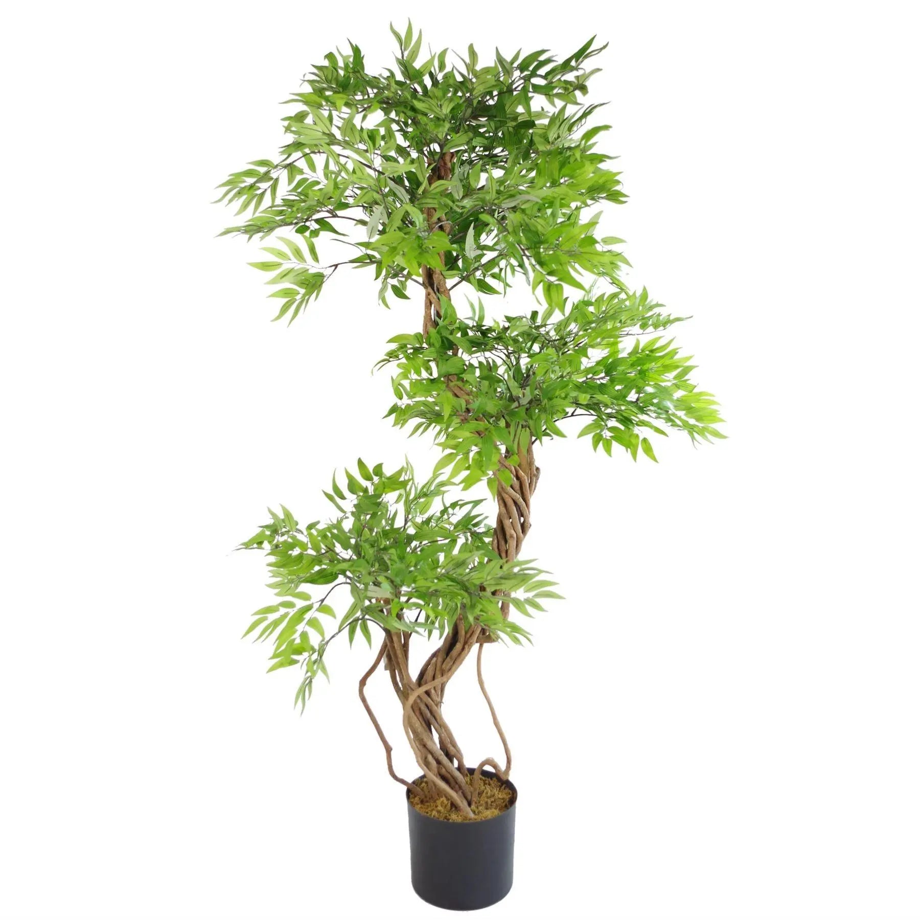 Artificial Tree Japanese Fruticosa Ficus Gold Metal Planter 140cm Spirit Journeys Gifts