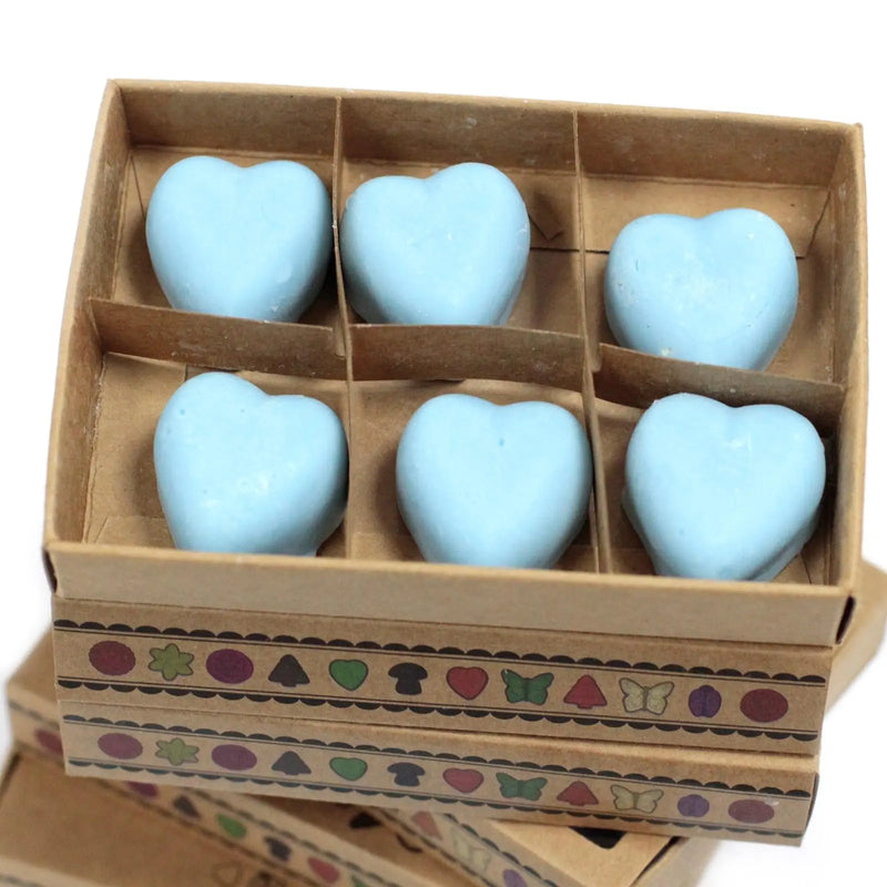 Box of 6 Wax Melts - Dewberry Spirit Journeys Gifts