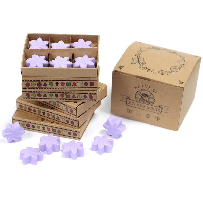 Box of 6  Wax Melts - Lavender Fields Spirit Journeys Gifts