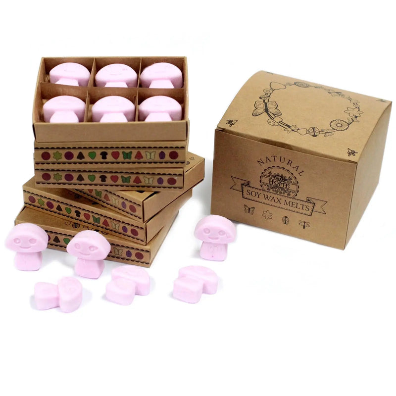 Box of 6  Wax Melts - Ylang Ylang Spirit Journeys Gifts