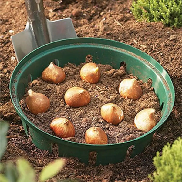 Bulb Baskets x3 with Bulb Planter You Garden
