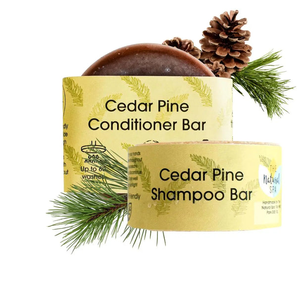 Cedar Pine Shampoo and Conditioner Bar set Spirit Journeys Gifts