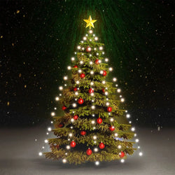 Christmas Tree Net Lights with 150 LEDs 150 cm to 500cm vidaXL