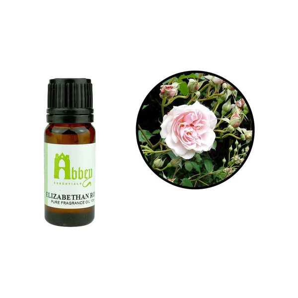 Elizabethan Rose Fragrance 10ml Abbey Essentials