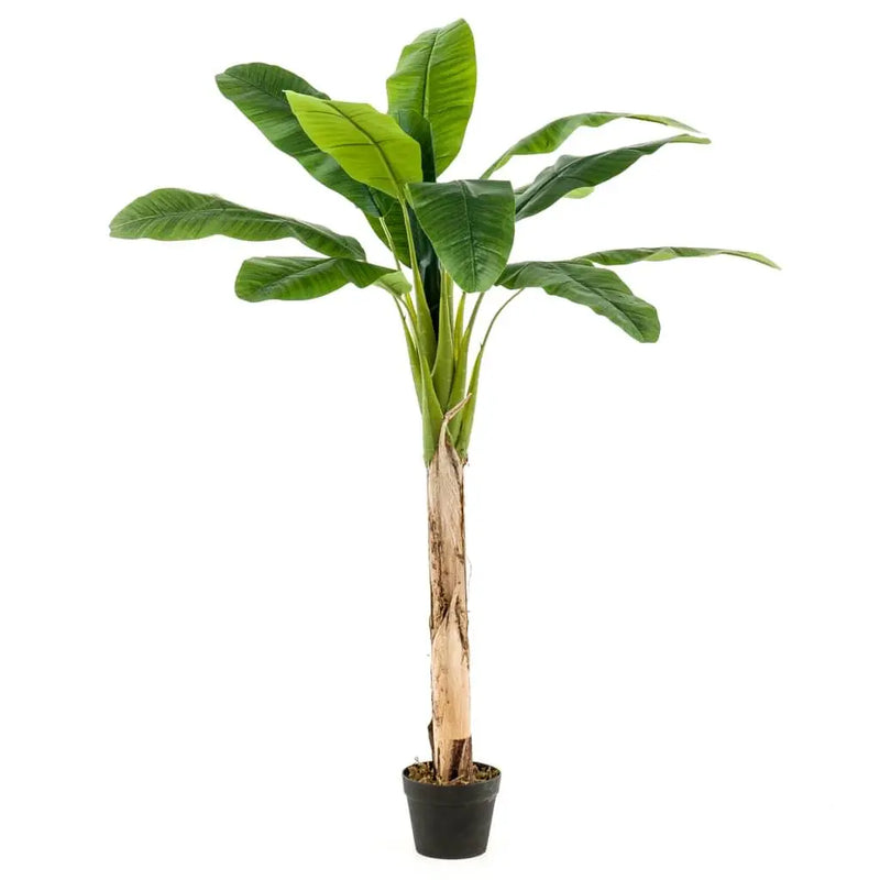 Emerald Artificial Banana Tree in Pot 120 cm Spirit Journeys Gifts