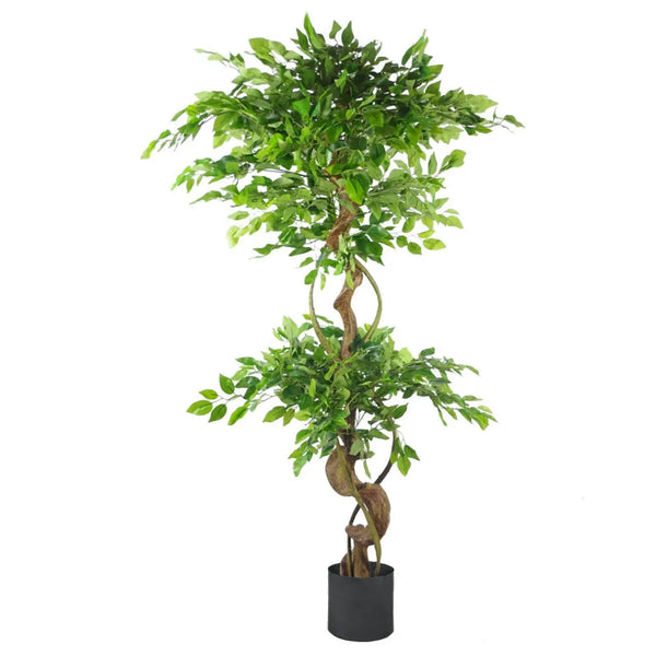 Japanese Fruticosa Ficus Tree Black Planter 150cm Twisted Trunk Artificial Spirit Journeys Gifts