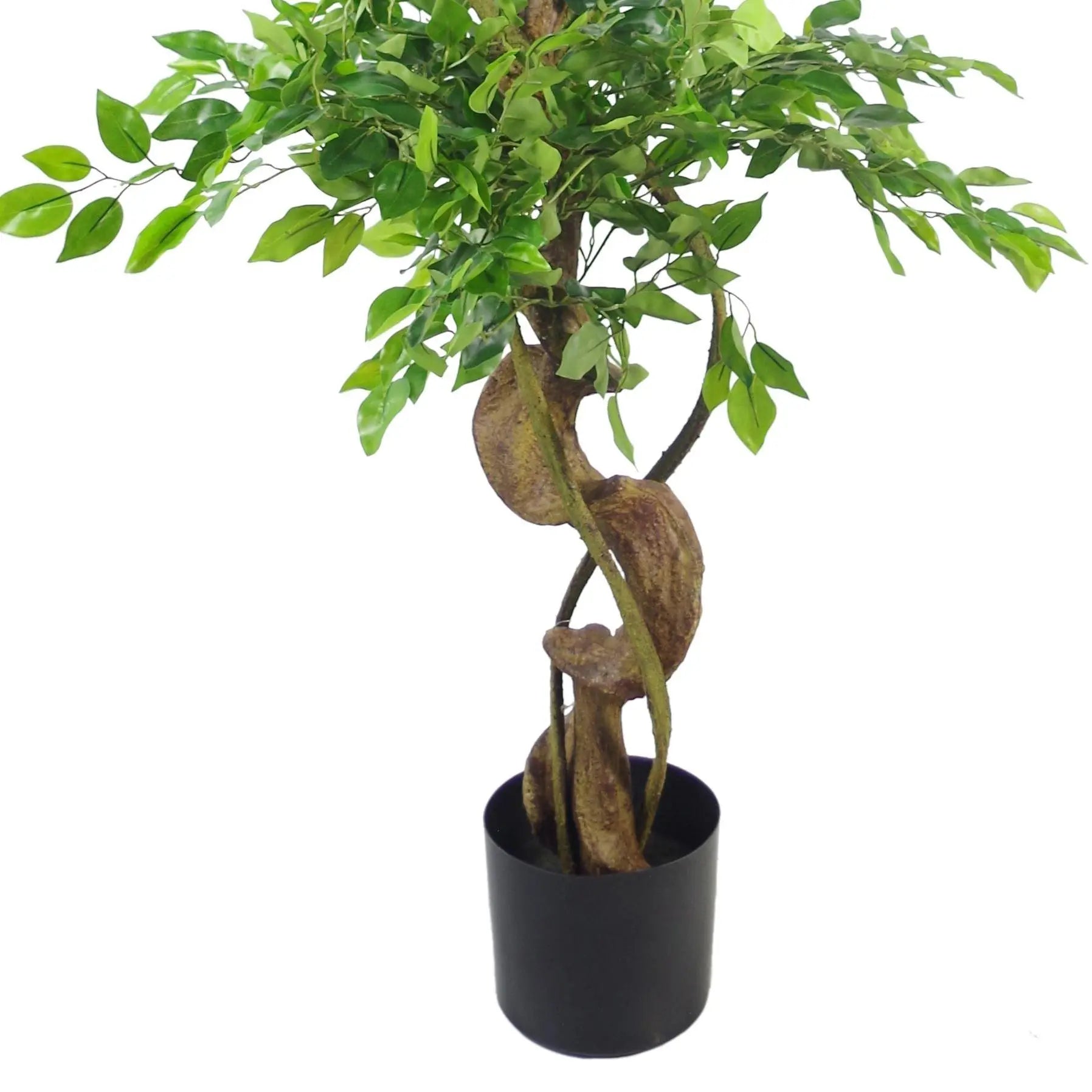 Japanese Fruticosa Ficus Tree Black Planter 150cm Twisted Trunk Artificial Spirit Journeys Gifts