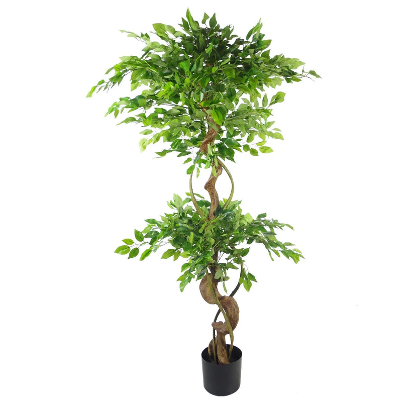 Japanese Fruticosa Ficus Tree Black Planter 150cm Twisted Trunk Artificial Spirit Journeys Gifts