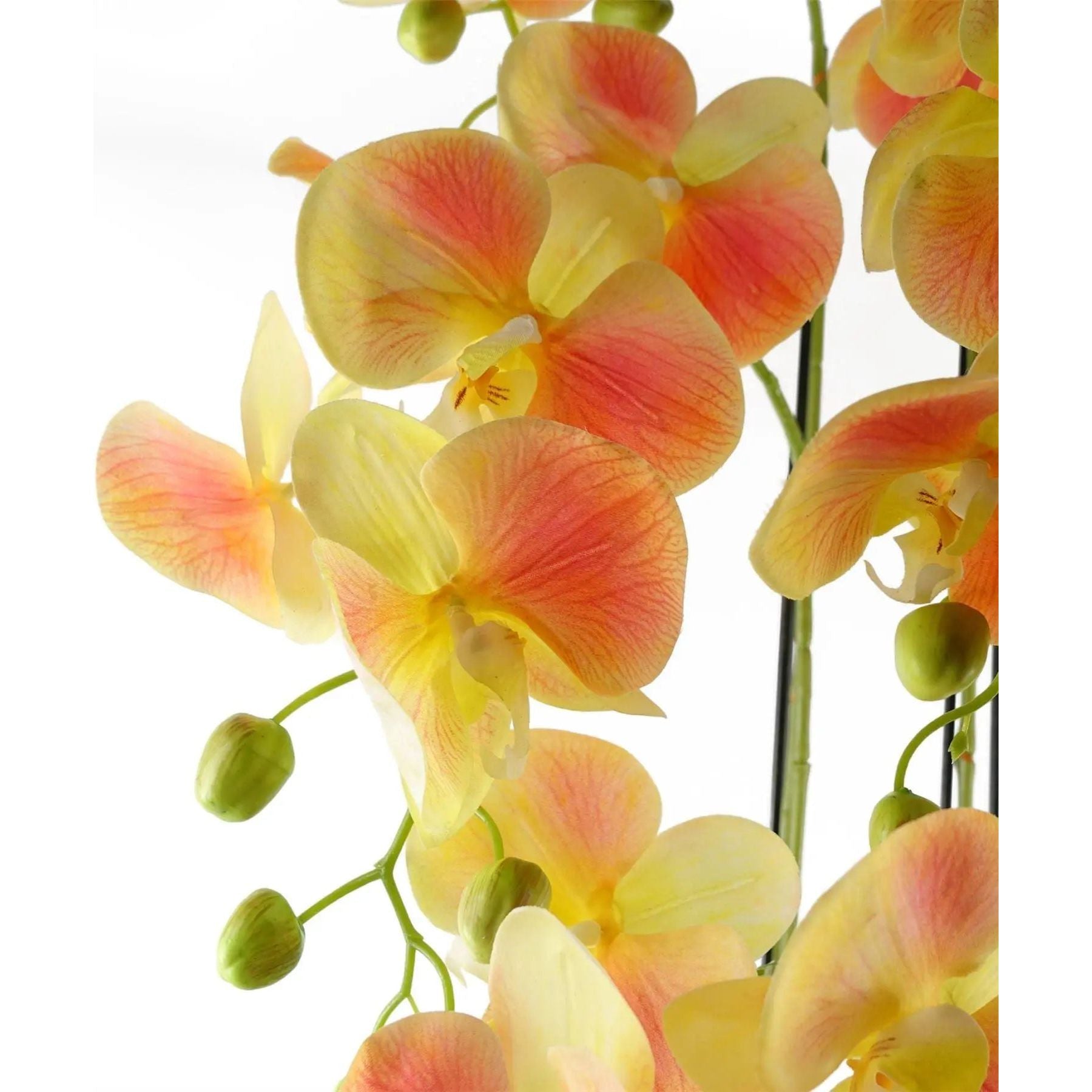 Large Yellow Peach Orchid Plant - Artifcial - 41 REAL TOUCH flowers Spirit Journeys Gifts