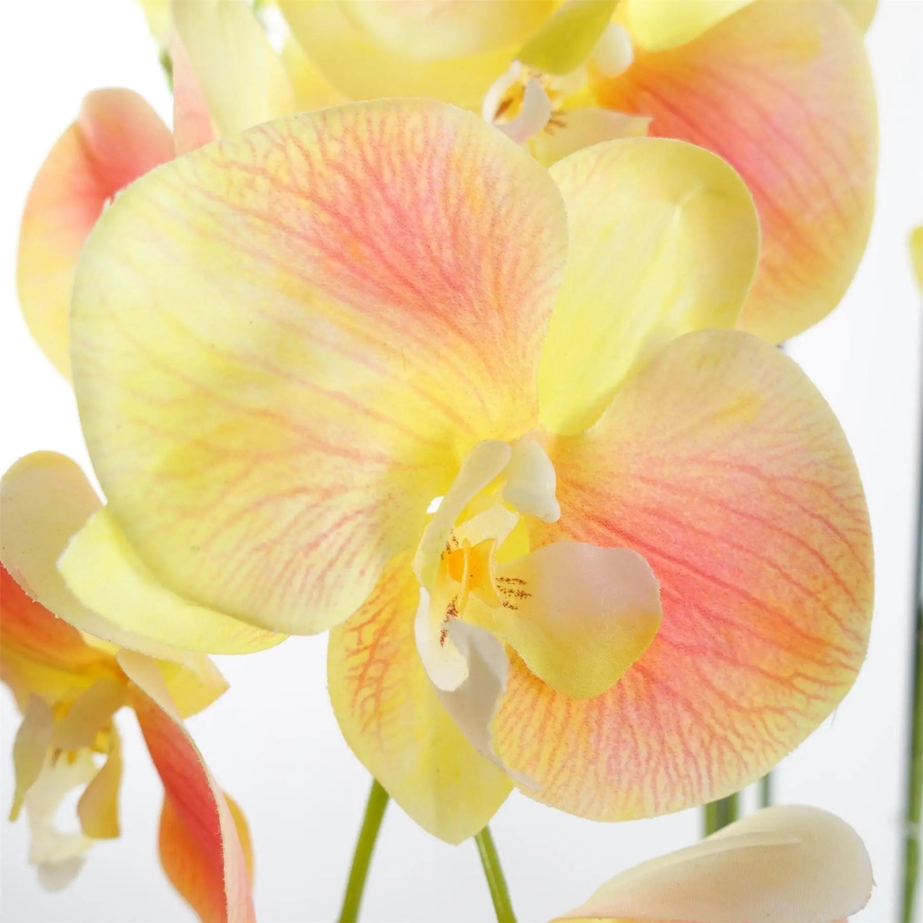 Large Yellow Peach Orchid Plant - Artifcial - 41 REAL TOUCH flowers Spirit Journeys Gifts