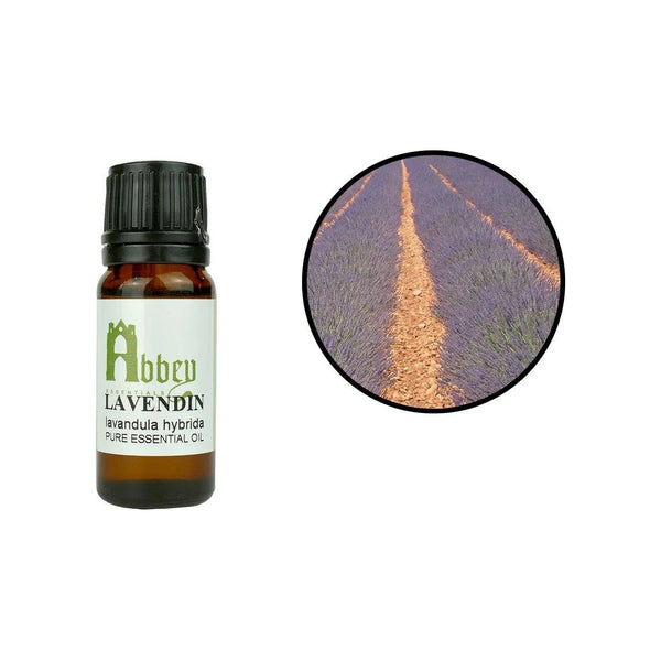 Lavandin Essential Oil Abbey Essentials