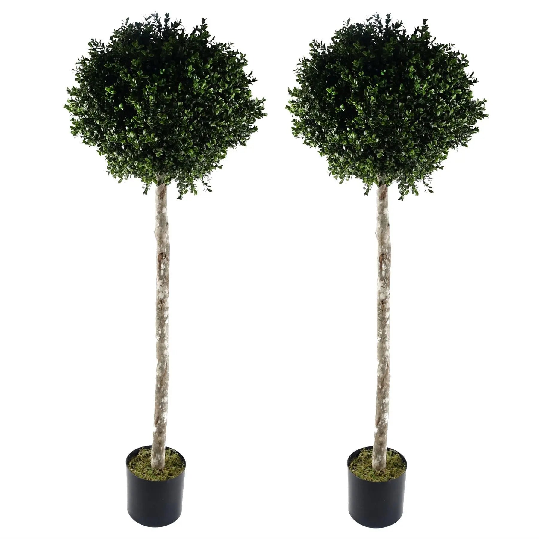 Leaf 140cm Buxus Artificial Tree UV Resistant Outdoor Spirit Journeys Gifts