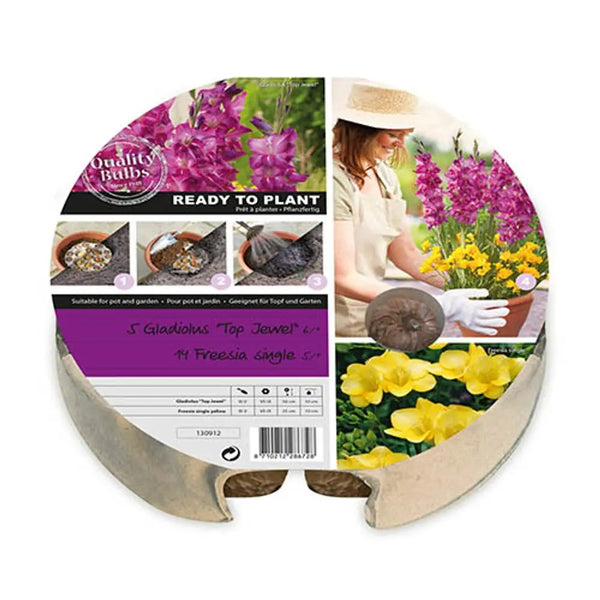 Plant-O-Mat Gladiolus and Freesia Mix You Garden