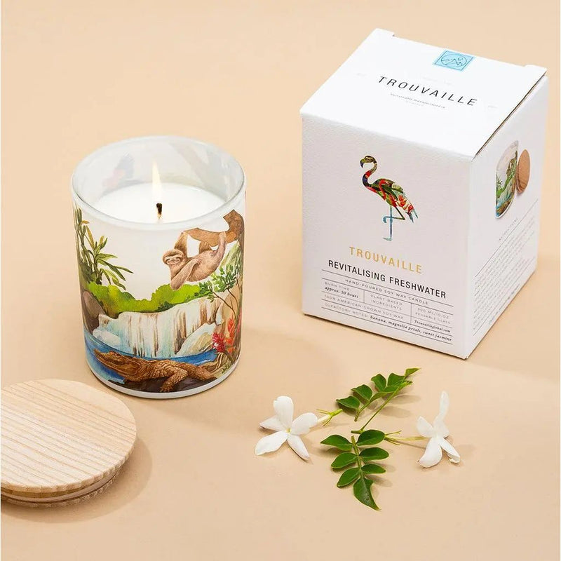 Save The Planet Scented Soy Wax Candle: Revitalising Freshwater Spirit Journeys Gifts