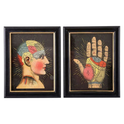 Set of 2 Phrenology Framed Prints 25cm Order Notifications