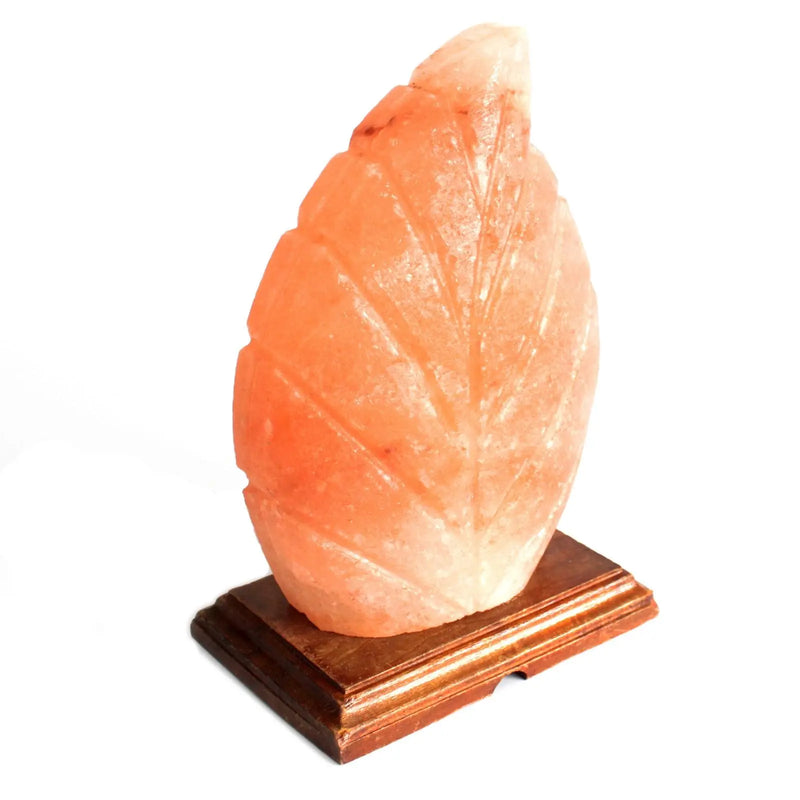 Shape Salt Lamp - Fern Spirit Journeys Gifts