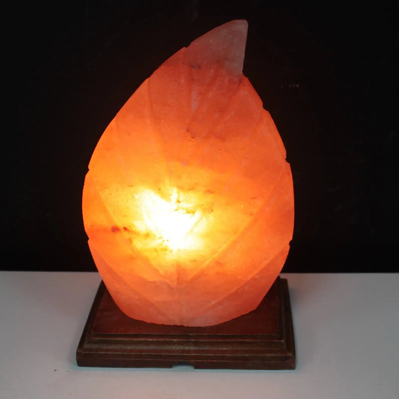 Shape Salt Lamp - Fern Spirit Journeys Gifts