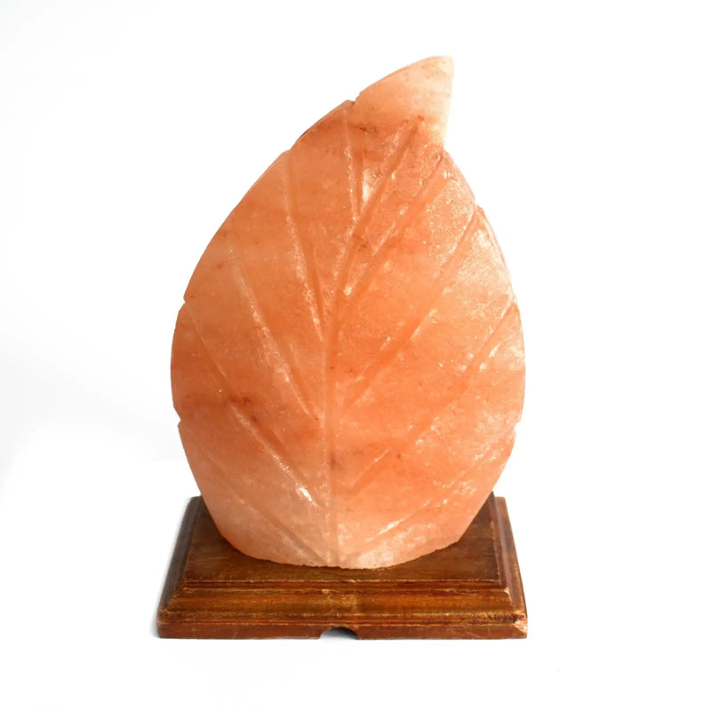 Shape Salt Lamp - Fern Spirit Journeys Gifts