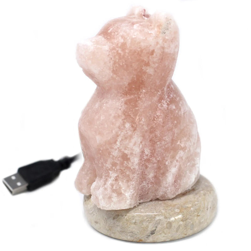 USB Dog Shaped (Multi) Spirit Journeys Gifts