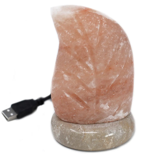 USB leaf Shaped (Multi) Spirit Journeys Gifts