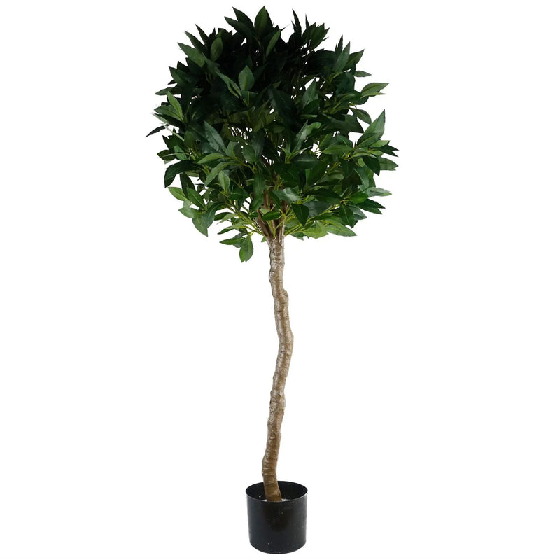 UV Resistant Artificial Bay Tree 800 Leaves Spirit Journeys Gifts