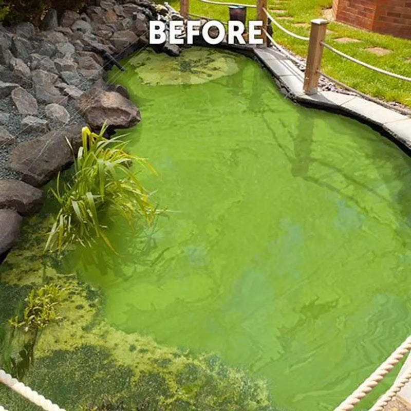Blooming Fast Pond Clear Pro 2 Step 9ack - Extra Large You Garden