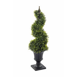 Boxwood Spiral Topiary with Pot 90cm Geko