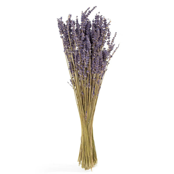 French Lavender Bundle Spirit Journeys Gifts