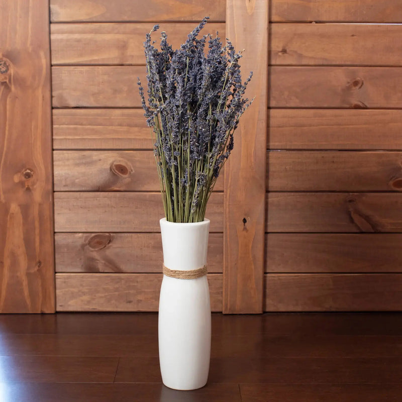 French Lavender Bundle Spirit Journeys Gifts