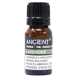 Lavender Organic Essential Oil 10ml Ancient Wisdom