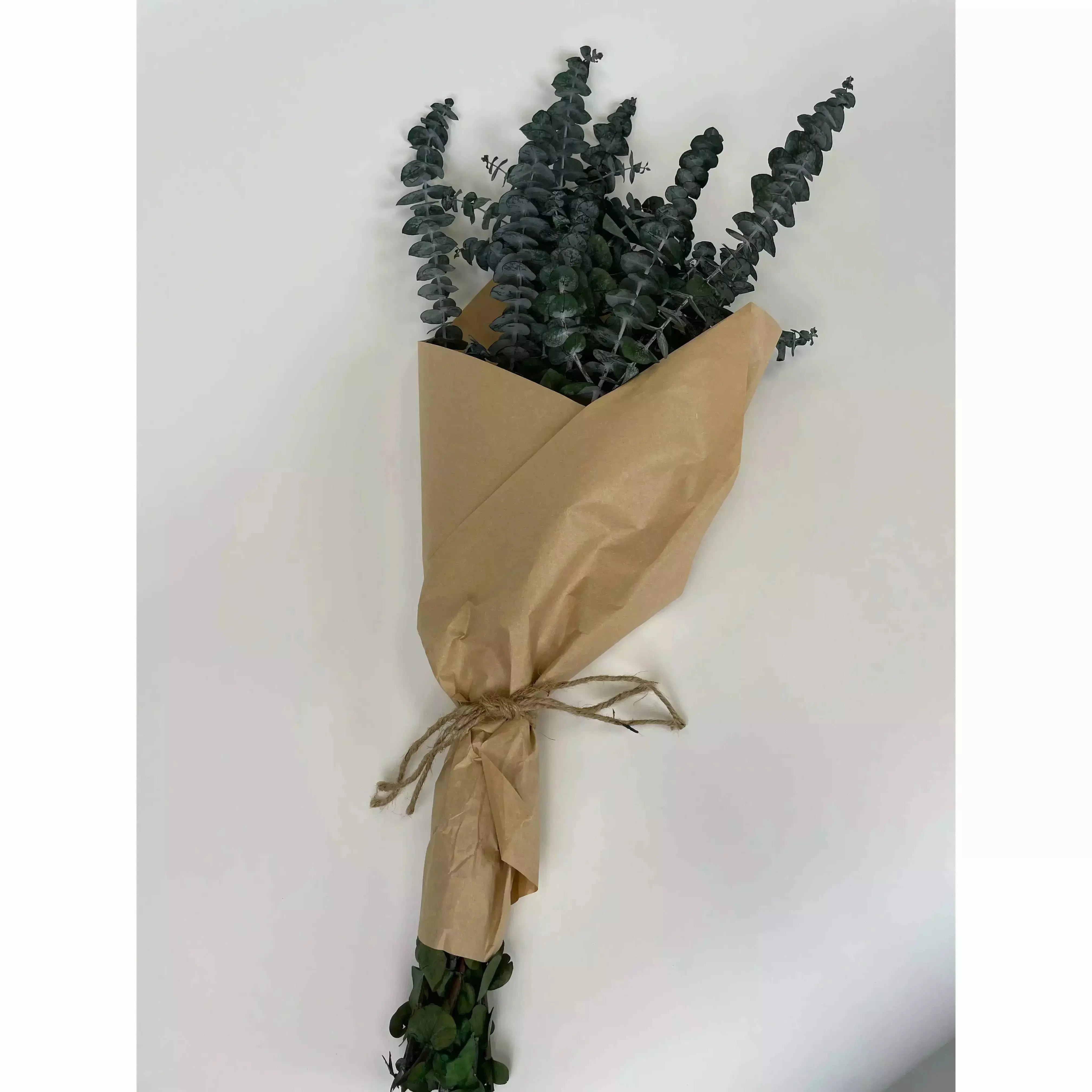 Preserved Baby Eucalyptus Bundle Spirit Journeys