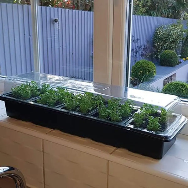 Windowsill Propagator Kit - 3 Sets for 90 plants You Garden