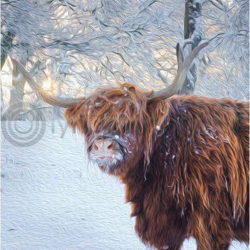 Highland Cow in Snow Greeting Card - Spirit Journeys