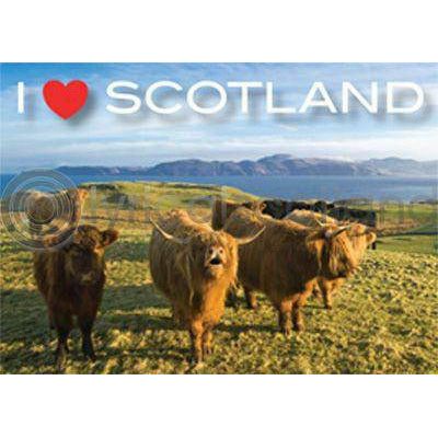 I Love Scotland - Highland Cows Magnet - Spirit Journeys