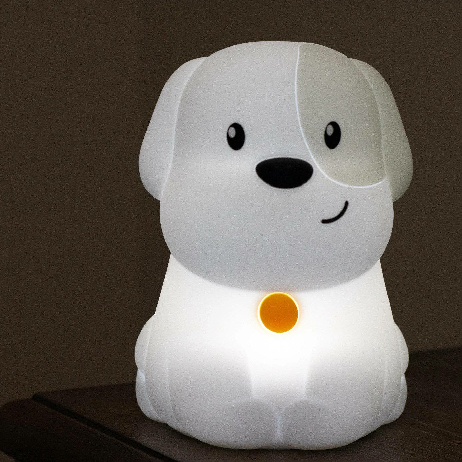 Lumipets® LED Night Light with Remote - Spirit Journeys