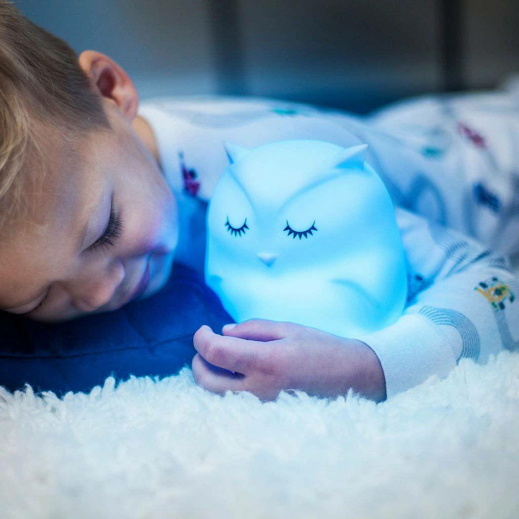 Lumipets® LED Night Light with Remote - Spirit Journeys