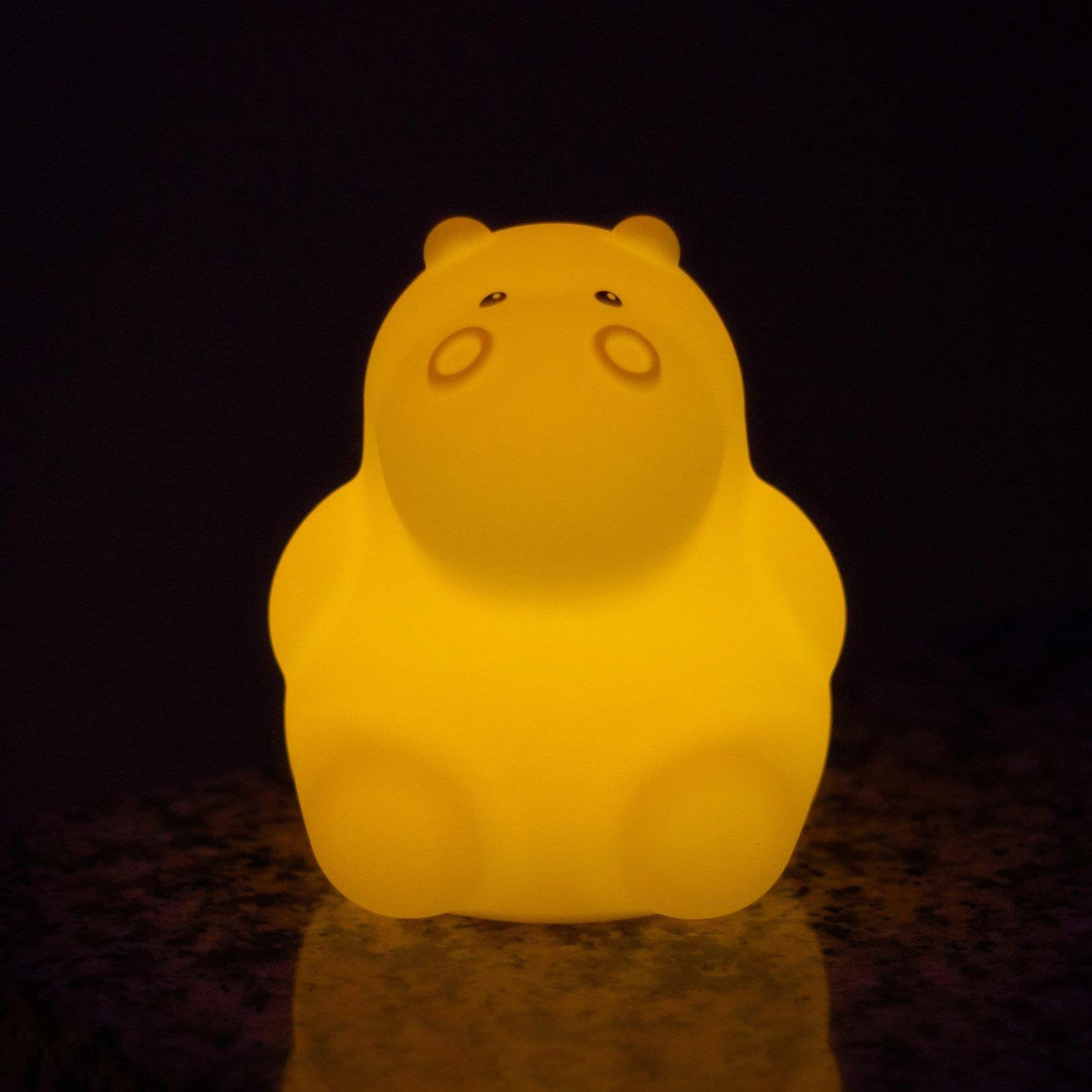 Lumipets® LED Night Light with Remote - Spirit Journeys